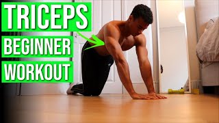 8 Home Tricep Exercises for Beginners — NO EQUIPMENT Workout Routine [upl. by Scherman]