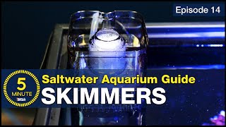 What is a Protein Skimmer How do I get the right one A beginner’s guide to aquarium filtration [upl. by Htabazile879]