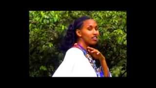 Ethiopian Amharic MusicGenet Masresha wollo [upl. by Macnair786]