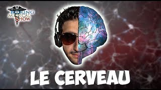 ANATOMIE  LE CERVEAU 🧠 [upl. by Mudenihc408]