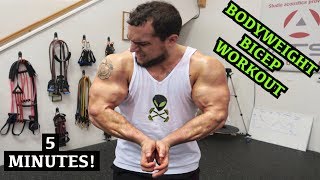 Intense 5 Minute At Home Bicep Workout 2 [upl. by Hunsinger]