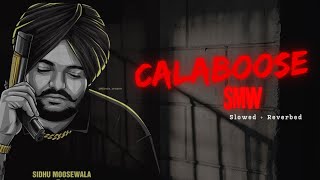 Calaboose  Slowed  Reverb  Sidhu Moose Wala [upl. by Rus923]