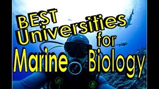 Best Universities for Marine Biology [upl. by Adnilemreh]