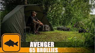 Prologic Avenger Brolly with Mozzie Mesh and Brolly System  Carp Fishing [upl. by Berneta386]