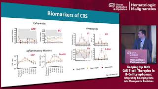 Autologous Hematopoietic Stem Cell Transplantation ASCT  High Impact Topic HIT [upl. by Annahael]