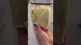 Toaster Tortilla Sandwich Quick amp Easy Recipe Hack [upl. by Natascha]