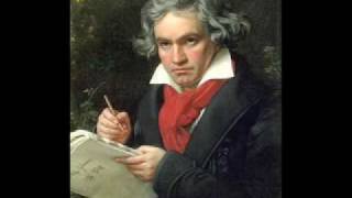 Beethoven Live Performance [upl. by Korns116]