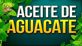 Para Que Sirve El Aceite De Aguacate  Propiedades Beneficios Y Contraindicaciones Del Aguacate [upl. by Buskus]