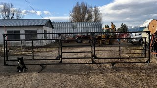 How I Build Indestructible Freestanding Cattle Panels Part 1 [upl. by Miuqaoj]