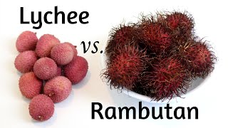 Lychee vs Rambutan Tropical Fruit [upl. by Notsirk]