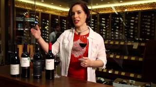 Pinot Noir Merlot Cabernet Sauvignon Shiraz Syrah  Red Wine Guide [upl. by Ainoyek269]