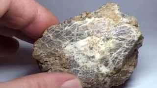 meteorite  diogenite with a white inclusion MeteoritDiogenit [upl. by Felizio]