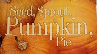 Seed Sprout Pumpkin Pie By Jill Esbaum [upl. by Celestina159]