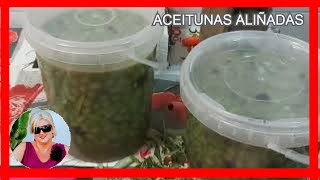 COMO HACER  ACEITUNAS MACHACADAS CASERAS [upl. by Eniamaj256]