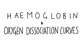 Haemoglobin amp Oxygen Dissociation Curves [upl. by Gonta]