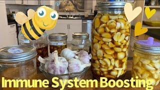 How to Make HONEY Fermented GARLIC Immune Boosting YouTube honeyfermentedgarlic ferment [upl. by Regdirb]