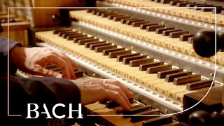 Bach  Concerto in D minor BWV 596  Van Doeselaar  Netherlands Bach Society [upl. by Ordisi]