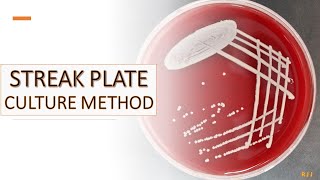 Streak plate culture method [upl. by Aryahay]