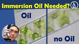 🔬 How important is IMMERSION OIL for microscopy [upl. by Inoj]