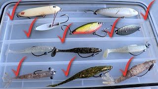 Everything You Need To Bring On Your Inshore Saltwater Fishing Trip [upl. by Wickman]