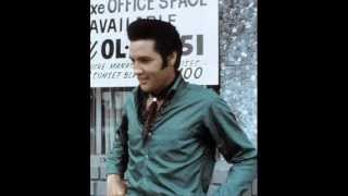 Elvis Presley  Too Much Monkey Business HQ [upl. by Loria]