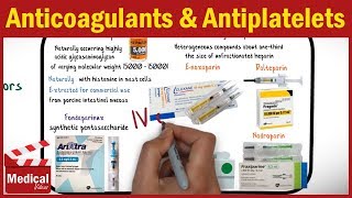 Pharmacology  Anticoagulants and Antiplatelet Drugs FROM A TO Z [upl. by Schweiker395]