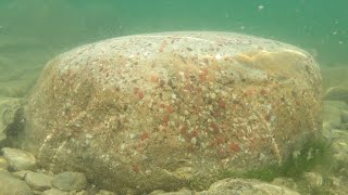 The Biggest and Best Puddingstone Ive Ever Found [upl. by Alix]