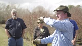 HandsOn Blueberry Pruning Workshop North Carolina [upl. by Roma]