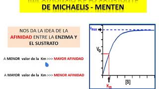 CINÉTICA ENZIMATICA ecuación de michaelis Km [upl. by Merralee365]