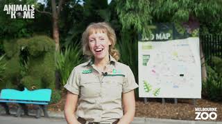 Virtual Tour of Melbourne Zoo [upl. by Trenton151]