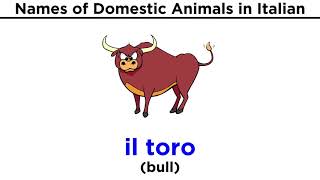 Italian Vocabulary Domestic Animals [upl. by Lynne819]