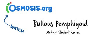 Bullous Pemphigoid Osmosis Study Video [upl. by Etnoel986]