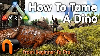 Industrial Grinder How to and Why to Craft in Ark Survival Evolved [upl. by Pradeep997]