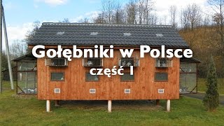 Gołębniki w Polsce  część 1 [upl. by Karita]