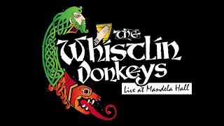 The Whistlin Donkeys  Travelin Soldier  LIVE at Mandela Hall [upl. by Otrebireh]