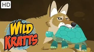 Wild Kratts  Best Season 4 Moments Part 56  Kids Videos [upl. by Humfrey]