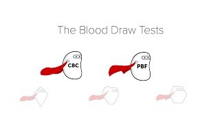 Complete Blood Count CBC amp Peripheral Blood Film [upl. by Xylon]