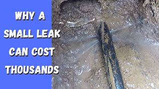 Repair a leak in the Mains Water Line to your house [upl. by Ellenor]