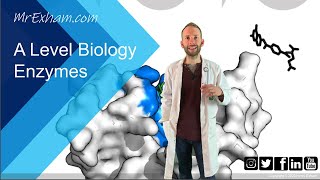 Enzymes Part 2  Inhibition  A Level Biology [upl. by Brear]