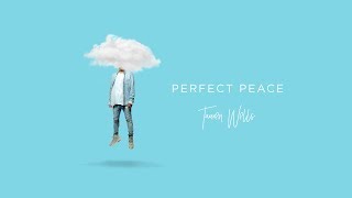 Tauren Wells  Perfect Peace Visualizer [upl. by Garek]