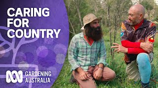 Caring for Country  Australian native plants  Gardening Australia [upl. by Euqinomad]