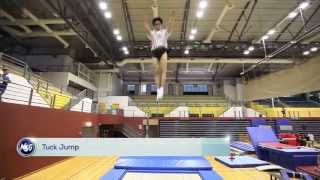 Gymnastics  Trampoline  Jumping to your hearts content [upl. by Vasili]