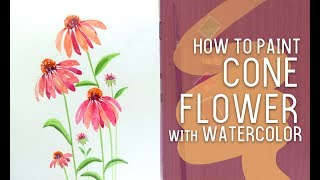 EASY Watercolor flower ConeflowerEchinacea [upl. by Essenaj]