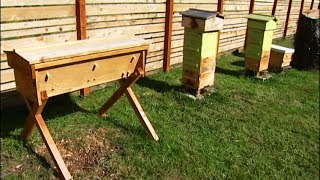 Beekeeping Basics  3 Types of Beehives  Mobile Minute [upl. by Ramilahs231]