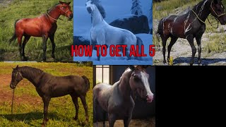 How To Get All 5 Arabian Horses In Red Dead Redemption 2 Spoilers [upl. by Born]