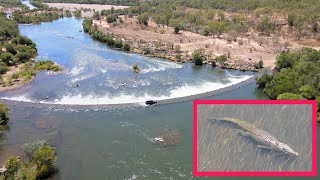 MONSTER CROC towers over BULL SHARK  Ivanhoe Crossing Kununurra The Kimberley WA [upl. by De Witt]