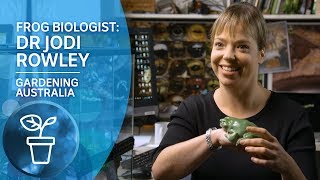 My Garden Path Frog Biologist Dr Jodi Rowley on studying Australia’s amazing frogs [upl. by Ruford]