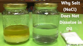 Why Salt NaCl Does Not Dissolve in Oil  Salt and Oil Experiment  Is Salt Soluble in Oil [upl. by Nitsraek]