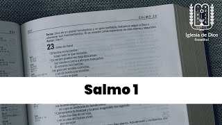 Salmo 1 [upl. by Thebazile]