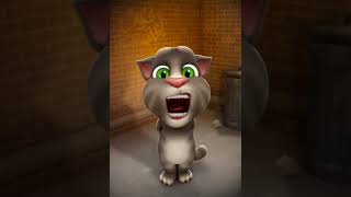 qwertyuiop asdfghjkl zxcvbnm talking angela [upl. by Akinad292]